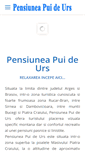 Mobile Screenshot of pensiuneapuideurs.ro